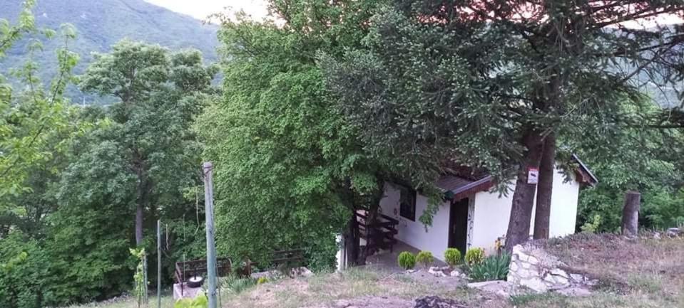 Meduvrsje Vila Eva מראה חיצוני תמונה