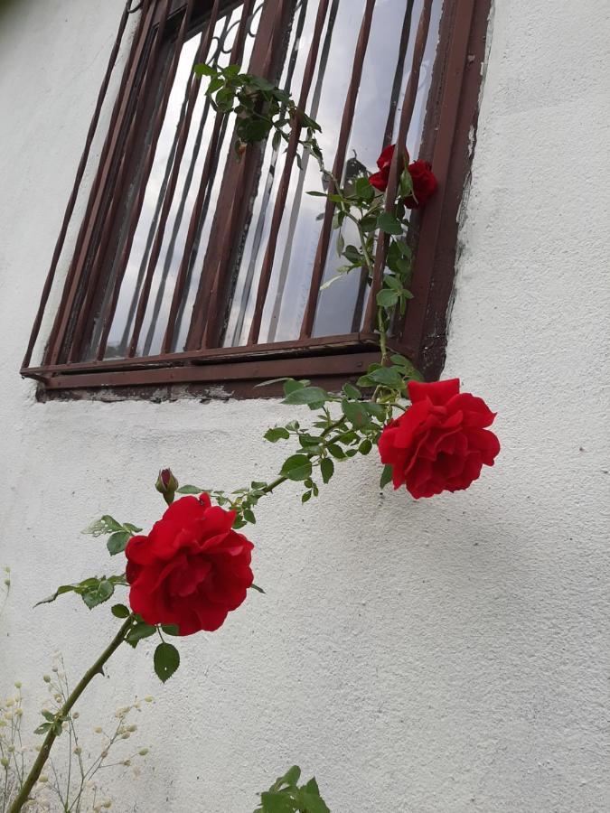 Meduvrsje Vila Eva מראה חיצוני תמונה