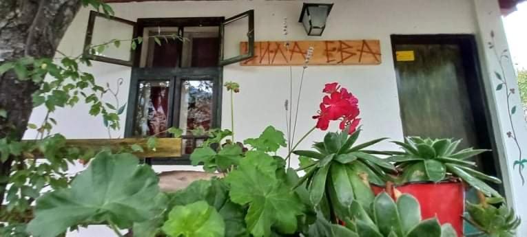 Meduvrsje Vila Eva מראה חיצוני תמונה